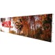 RPL 30 ft Wide Portable Popup Display Includes Printed Graphic
